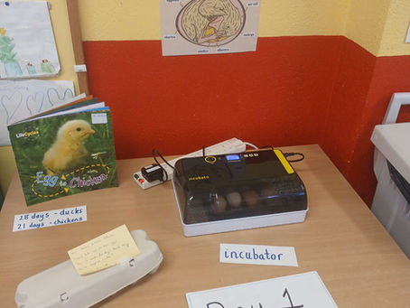 Exciting 21 days ahead!