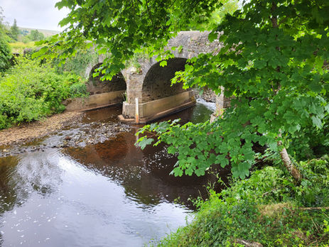 Something Fishy Field Trip