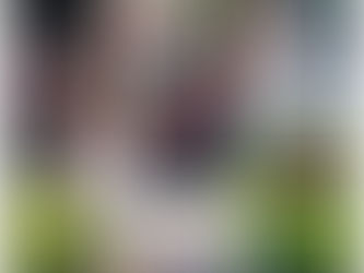 Infant School Tour 2023