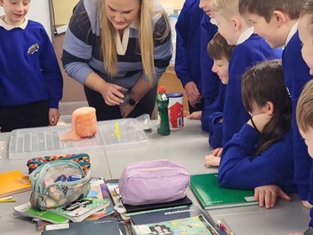 Volcano Experiment🌋