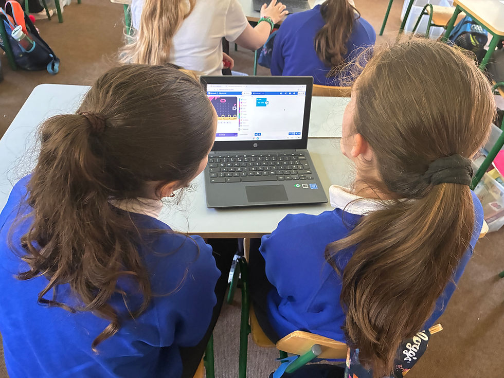 5th and 6th class Microsoft Coding workshop