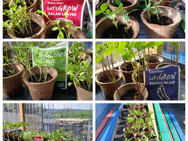 Green Schools 2023/24