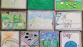 Sheep Festival Art 🎨