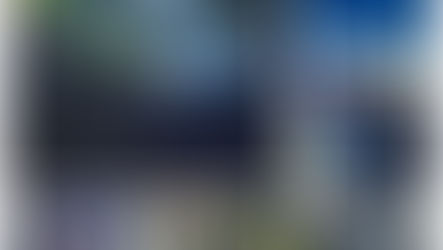 A fun visit from Garda Inez & Garda Trevor