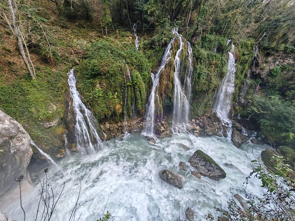 IMG-20241028-WA0026