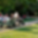 Site_tratorzinho