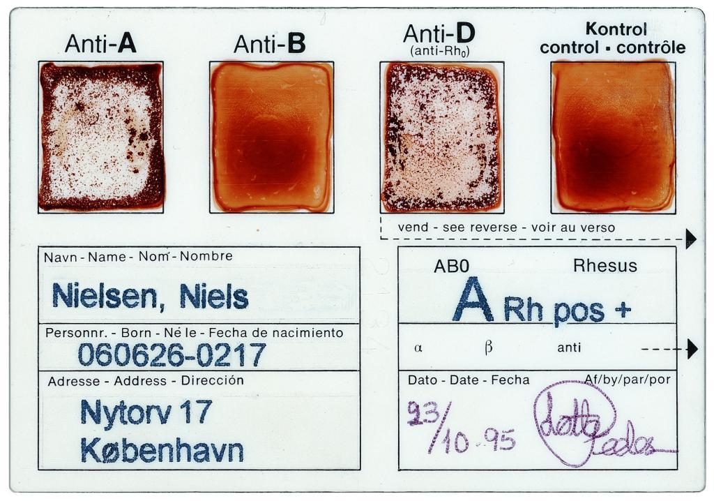 Billeder Og Information Bloddonation