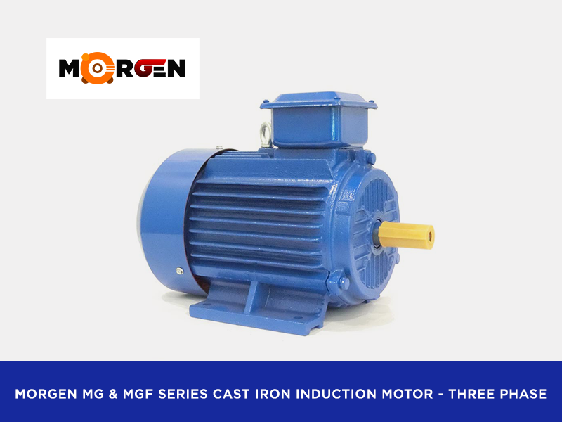 縮圖：THREE  PHASE MORGEN INDUCTION MOTOR