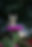 pexels-jennifer-murray-402778-1067202.jpg