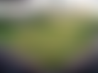 Summer heat at MLB baseball game.