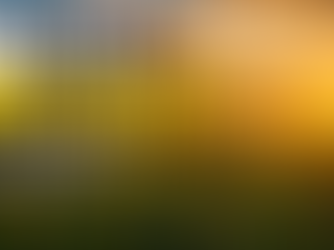 A golden sunset shines across a sprawling Midwestern cornfield beneath dramatic summer clouds. Large text asks, “What Is Corn Sweat? And Can It Really Make It Feel Hotter?” introducing a Weather Nerdy story about how corn releases water vapor that can increase humidity during the summer.