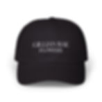 Embroidered Baseball Hat with White Embroidery