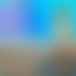 Superando Limites: 10 anos da CIPA no Porto de Imbituba