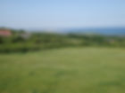 PICT2509.JPG