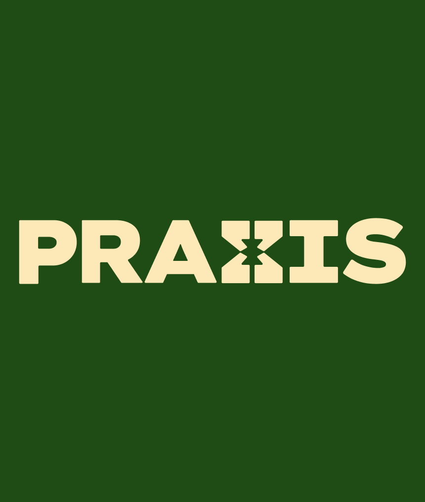 Praxis 4.png