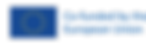 Combination EU1 horizontal_1.png