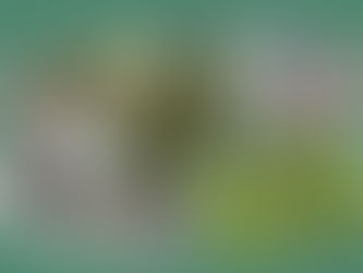 Reise-Inspirationen Juni 2020