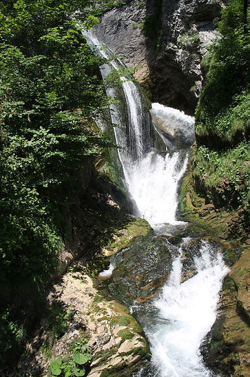 2015_07_03_6973_edited.jpg
