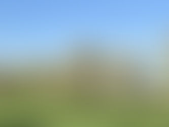 Frühlings-Inspirationen 2025