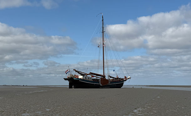 IMG_2476.JPG