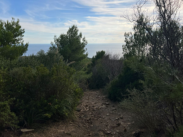 WhatsApp Image 2025-11-14 at 17.07.09 (18).jpeg