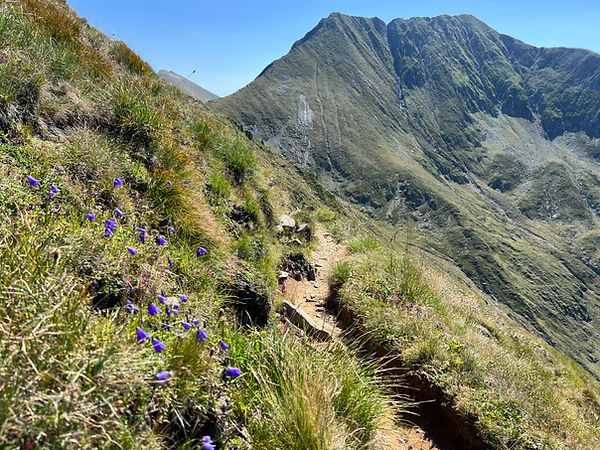 WhatsApp Image 2025-09-18 at 10.47.18 (32).jpeg