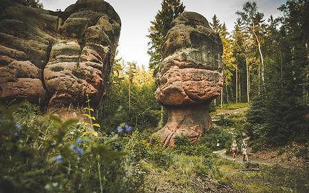 NP_Zittauer_Gebirge_1_edited_edited.jpg