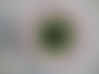 Reise-Inspirationen Mai 2021