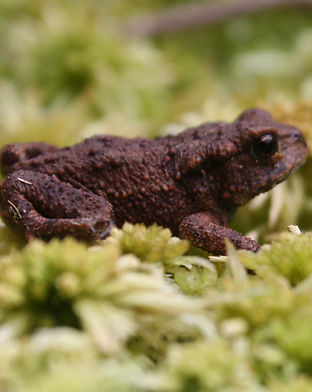 2021_08_25_2904 (2)_edited_edited_edited_edited.jpg