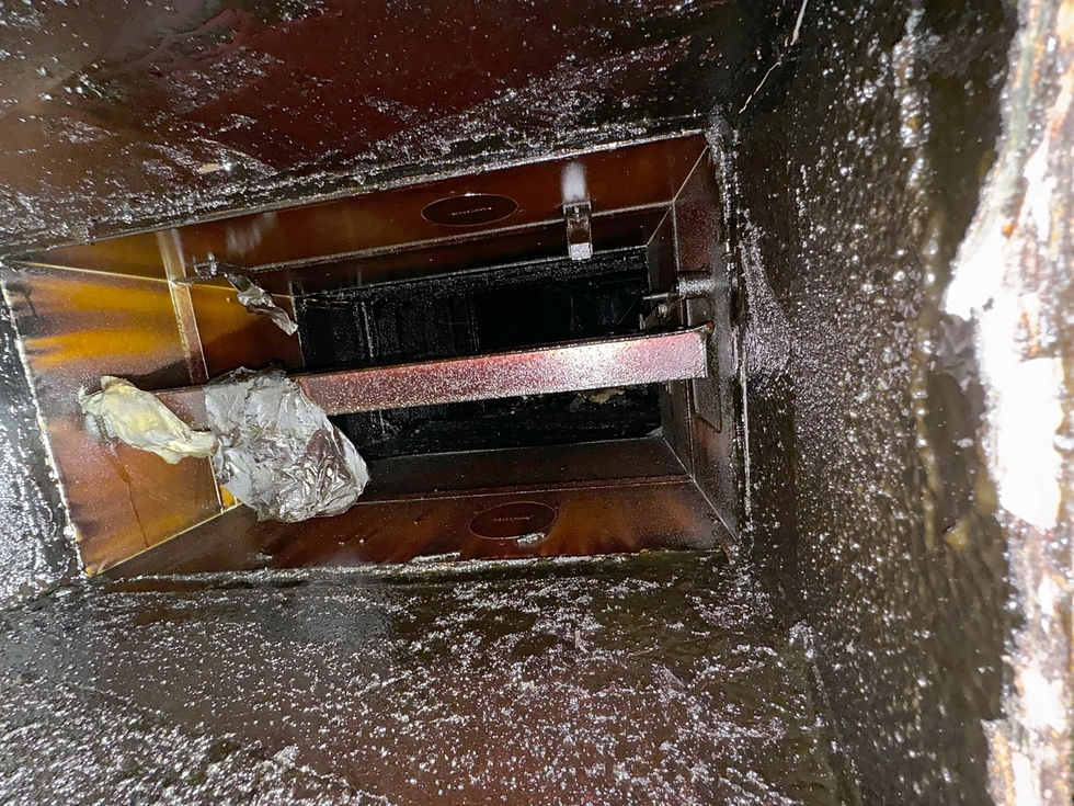 Groß (IMG_0741).jpeg