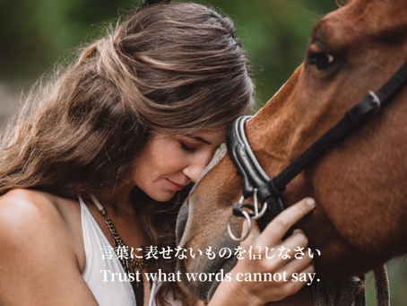 Trust what words cannot say.