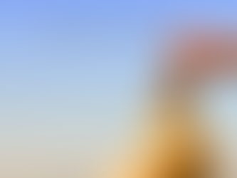 丁寧に、丁寧に、積み重ねる 3月12日(水) 今日の星読み