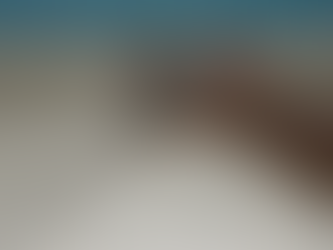 もう守らなくていい古い自分を、そっと卒業していく日。 そこから始まる“これからのわたし”に、 静かにOKを出してあげてください。 "Let your heart grow, not hide."