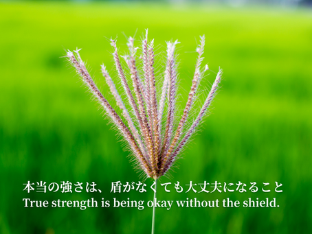 True strength is being okay without the shield.