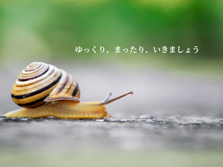 動けない時間が、心の奥を整えてくれる