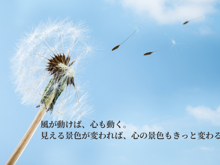 風が動けば、心も動く。 見える景色が変われば、 心の景色もきっと変わる