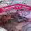Thumbnail: Calypso Hot Pink imported vegan leather" Lizard & Bermuda map"