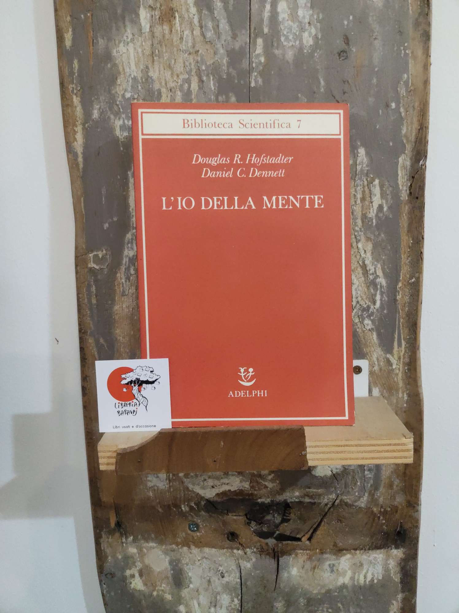 Hofstadter, Dennett, L'io della mente