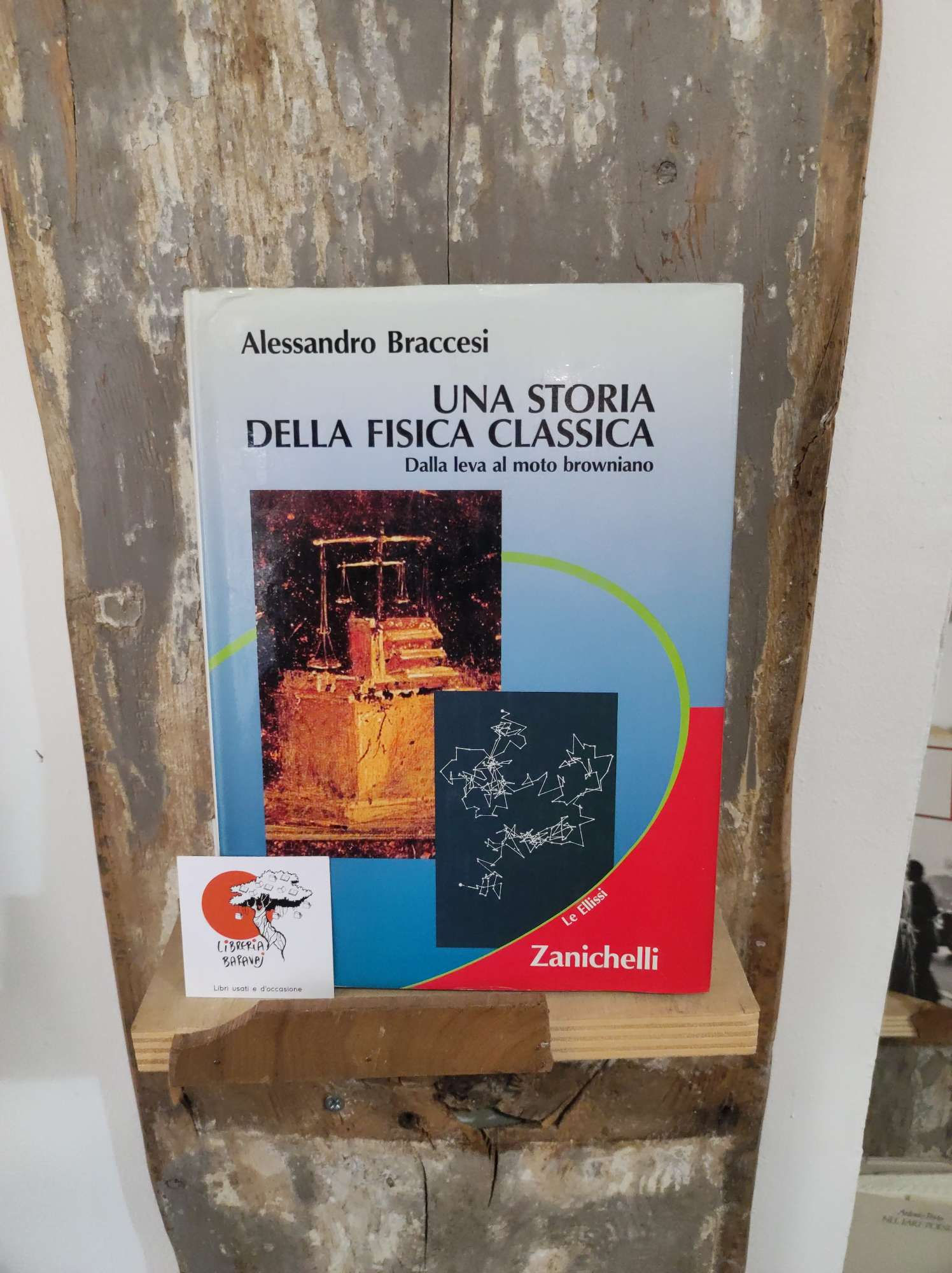 Alessandro Braccesi, Una storia della fisica classica