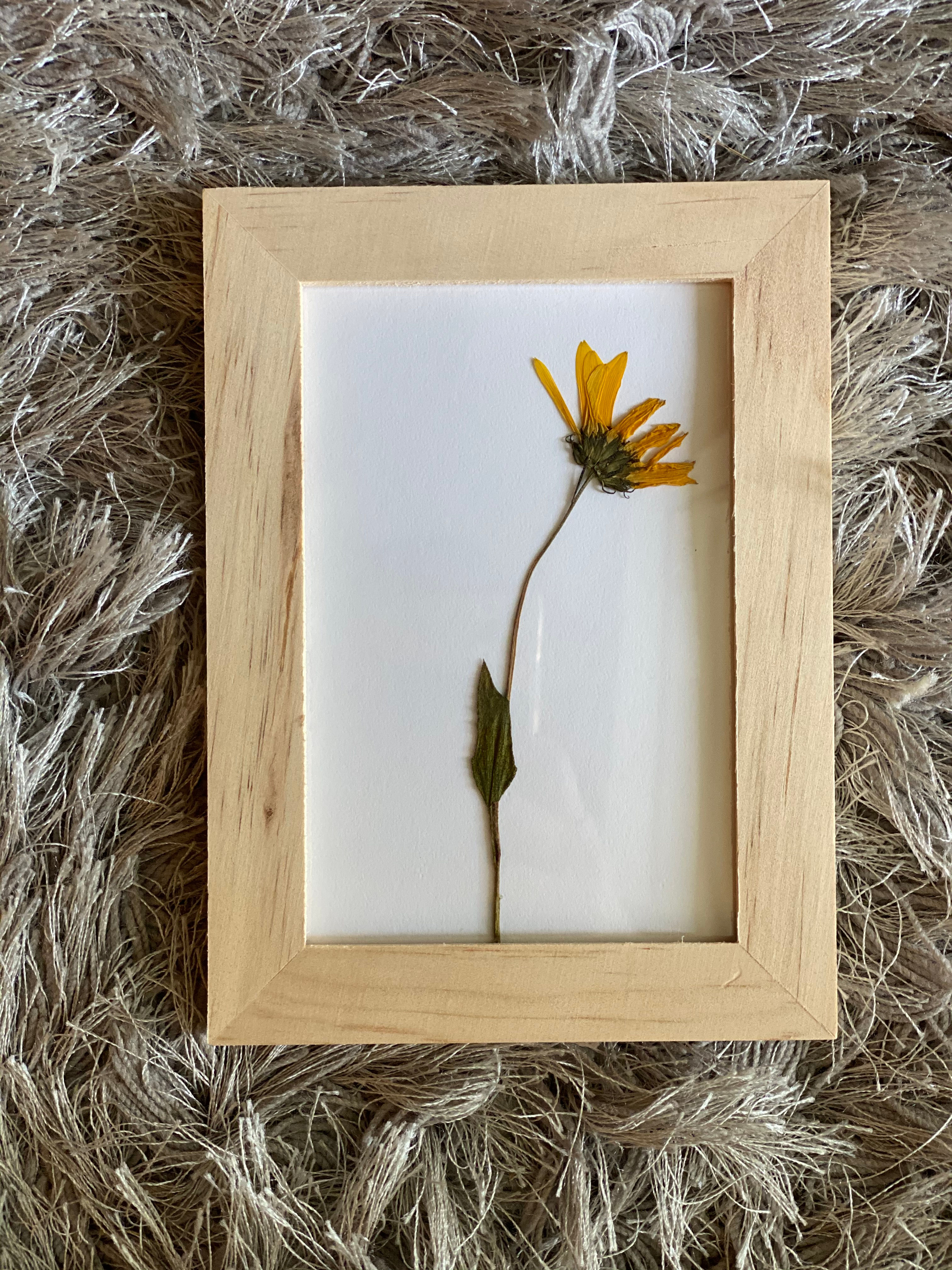 Averin - Lemon Right