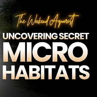 Uncovering Micro Habitats with Nabojit Das