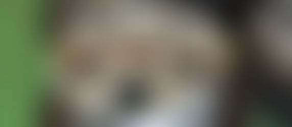 スタッドレスタイヤ