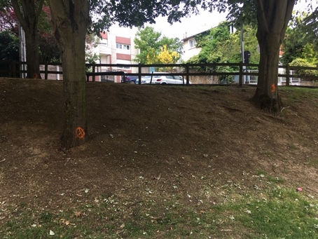 Aux arbres citoyens