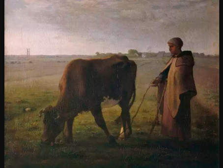 Derrière l’appel du ministre de l’agriculture, des Français rêvent d’un retour à la terre