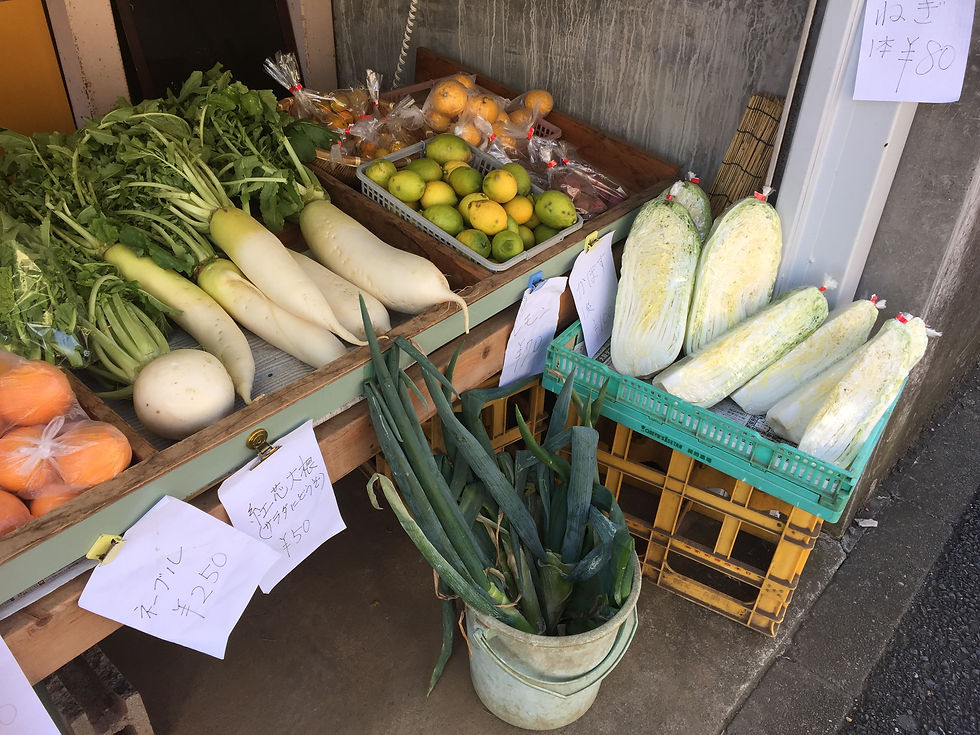 品揃え豊富な直売所