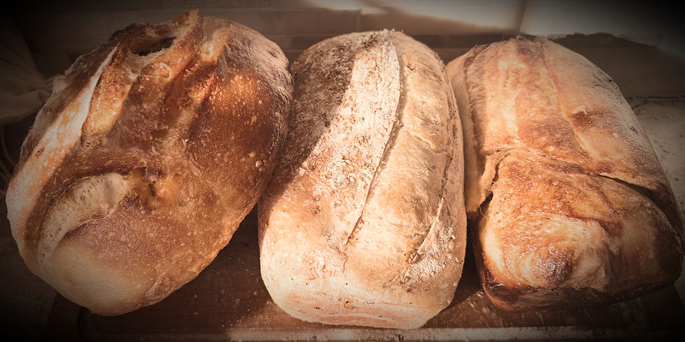 🥖 From Crumbs to Crust: How Feral N’ Wild Was Born