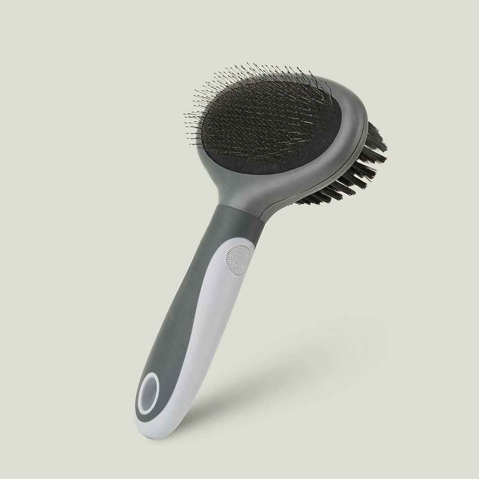 Miniatura: Szczotka dla zwierząt, dwustronna, szary, 11,5 x 19 cm