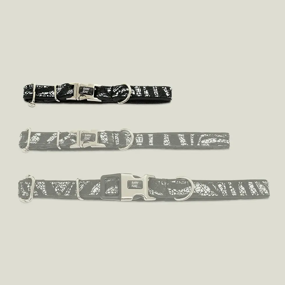 Miniatura: Obroża dla psa, Equilibre, Czarna Zebra, skórzana nikiel, XS 13mm/20-30cm