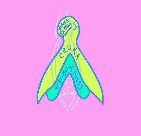 Cliterate_blue copy (9)_edited_edited_edited.jpg