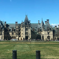 Your Biltmore Estate Visit: Don't Let the Conservatory Escape Your Discovery!